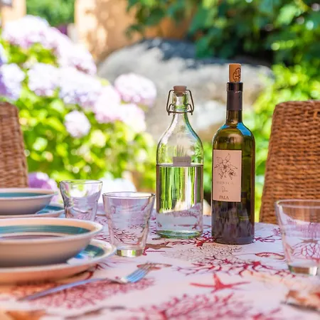 Vecchio Marino H4 * Палау