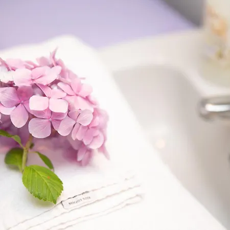 Vecchio Marino H4 * Palau